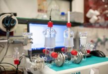 Tech: A protective shield for sensitive enzymes in biofuel cells — (Report)