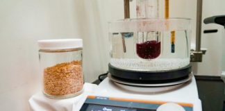 Tech: New method more than doubles sugar production from plants — (Report)