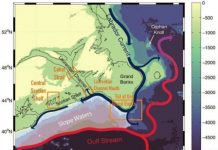 Research: Large-scale shift causing lower-oxygen water to invade Canada’s Gulf of St. Lawrence —