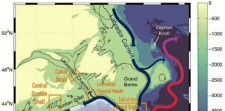 Research: Large-scale shift causing lower-oxygen water to invade Canada’s Gulf of St. Lawrence —