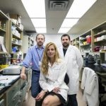 Study: Vessels carry mysterious message from brain that causes MS, research suggests — (Details)