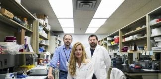 Study: Vessels carry mysterious message from brain that causes MS, research suggests — (Details)