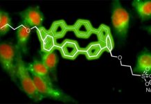 Tech: Made of carbon and hydrogen, the team’s biocompatible nanohoops emit colors that vary by just their size — (Report)