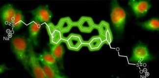 Tech: Made of carbon and hydrogen, the team’s biocompatible nanohoops emit colors that vary by just their size — (Report)