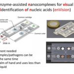Study: New test kit for quick, accurate and low-cost screening of diseases — (Details)