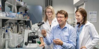 Study: The microbiota in the intestines fuels tumor growth — (Details)