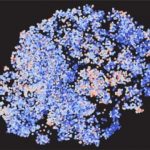 Study: Historical bias leads biomedical researchers to study certain genes over and over again — (Details)