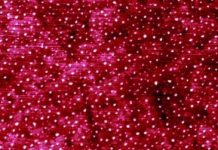 Tech: Nucleation a boon to sustainable nanomanufacturing — (Report)