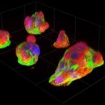 Study: New micro-platform reveals cancer cells’ natural behavior — (Details)