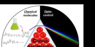 Research: Multi-directional activity control of cellular processes as a new tool —