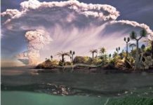 Research: Oldest-known aquatic reptiles probably spent time on land —