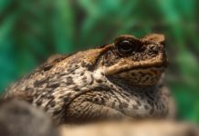 Research: Scientists crack genetic code —