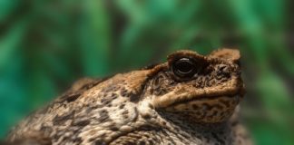 Research: Scientists crack genetic code —