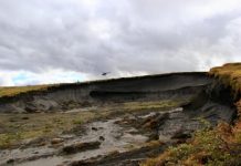 Research: Mineral weathering from thawing permafrost can release substantial CO2 —