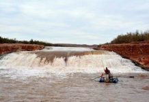 Research: New research identifies abundant endangered fish below waterfall in San Juan River —