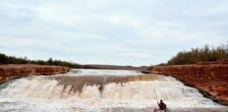 Research: New research identifies abundant endangered fish below waterfall in San Juan River —