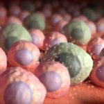 Study: Zombie cells found in brains of mice prior to cognitive loss — (Details)