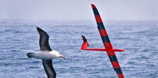 Research: The novel study applies reinforcement learning to set a course toward artificial intelligence —