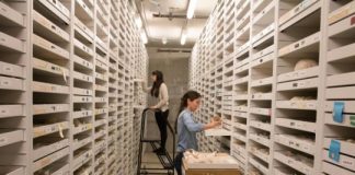 Research: Quantifying ‘dark data’ in fossil collections is a call to arms; heralds a digital revolution —