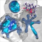 Study: Anti-cancer drugs may hold key to overcoming antimalarial drug resistance — (Details)