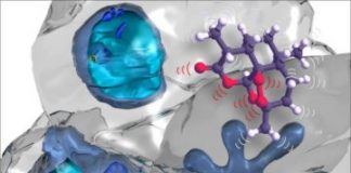 Study: Anti-cancer drugs may hold key to overcoming antimalarial drug resistance — (Details)