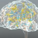 Study: Expanding universe of ‘darkest of the dark matter’ RNAs in dopamine-producing cells in our brains — (Details)