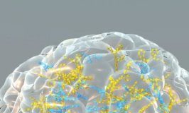 Study: Expanding universe of ‘darkest of the dark matter’ RNAs in dopamine-producing cells in our brains — (Details)