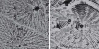 Study: Artificial control over drying pattern morphology for droplets of salt solutions on surfaces — (Details)