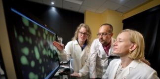 Study: What can salad dressing tell us about cancer? Think oil and vinegar — (Details)