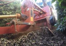 Research: Soil health on the menu with retrieved coffee beans —