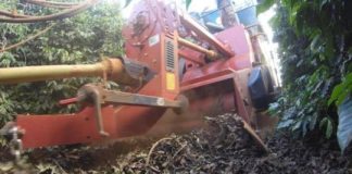 Research: Soil health on the menu with retrieved coffee beans —