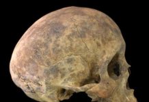 Research: Violence in pre-Columbian Panama exaggerated, new study shows —