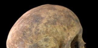 Research: Violence in pre-Columbian Panama exaggerated, new study shows —