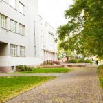 Study: Schoolyard tree cover predicts math performance in high-poverty urban schools — (Details)