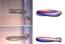 Tech: The crazy dance of falling knots — (Report)