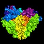 Study: Breakthrough could lead to ‘new and better treatments blood pressure medications’ — (Details)