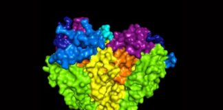 Study: Breakthrough could lead to ‘new and better treatments blood pressure medications’ — (Details)