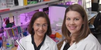 Research: Cancer-related gene variations are frequently reclassified —