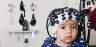 Study: Infants’ attention to fearful faces predicts later altruism — (Details)