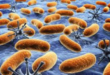 Research: Microbial ‘dark matter’ dominates Earth’s environments —