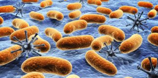 Research: Microbial ‘dark matter’ dominates Earth’s environments —