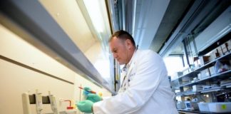 Study: Novel agents 135H11 and 135H12 move research closer to drug development — (Details)