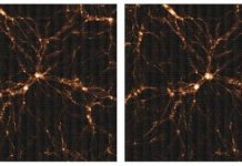 Research: Hyper Suprime-Cam survey maps dark matter in the universe —