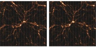 Research: Hyper Suprime-Cam survey maps dark matter in the universe —