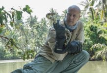 Research: Invasive snakes ‘hitchhiking’ on planes —