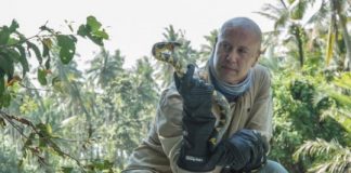 Research: Invasive snakes ‘hitchhiking’ on planes —