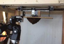 Research: Researchers explore how bees collaborate to stabilize swarm clusters —