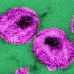 Study: Combination antibody therapy results in long-term viral suppression in HIV infection — (Details)