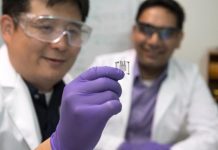 Tech: Cell runs on glucose from body fluids — (Report)