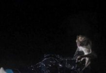 Research: A PLOS Neglected Tropical Diseases press release —